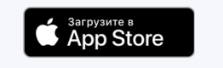 Скачать приложение AVANTerm в App Store